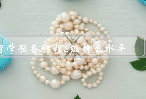 留学预备课程2级什么水平，设置、学习目标、优势