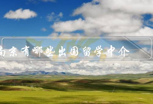 南京有哪些出国留学中介