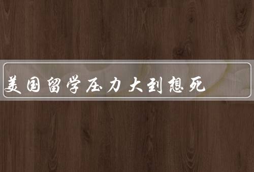 美国留学压力大到想死，学术压力、经济压力、生活适应压力