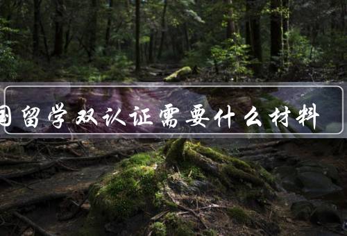 出国留学双认证需要什么材料，学历认证、学位认证、总结