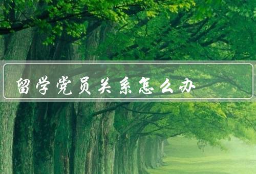 留学党员关系怎么办（党员身份的保持／学业与党务的平衡）
