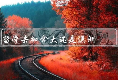 留学去加拿大还是澳洲（教育质量／生活成本／就业前景）