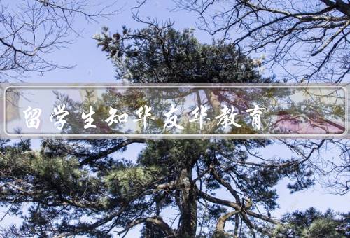 留学生知华友华教育，课程设置、教学理念、服务特点