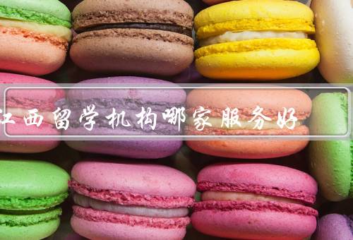 江西留学机构哪家服务好，办理手续便捷、全方位的服务