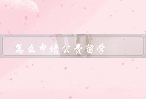 怎么申请公费留学（准备材料、选择合适的项目、申请过程）