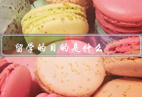 留学的目的是什么（开拓国际视野／提升学术水平）