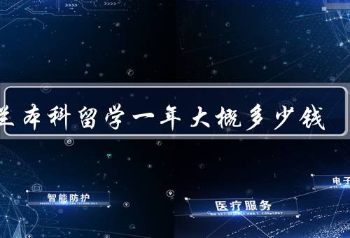 芬兰本科留学一年大概多少钱，学费／生活费／其他杂费