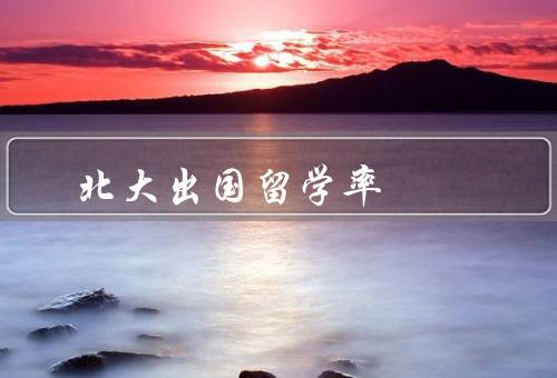 北大出国留学率（留学生的背景／出国留学机会／出国留学率的影响）