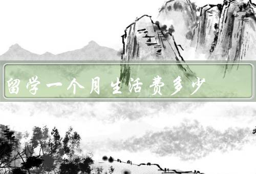 俄罗斯留学一个月生活费多少，留学生宿舍、租房、生活费用