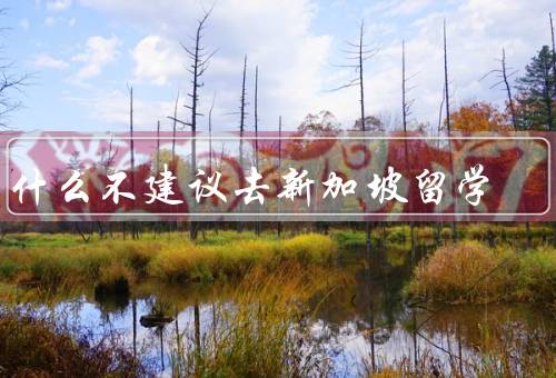 为什么不建议去新加坡留学（学费高昂／竞争激烈／文化差异）