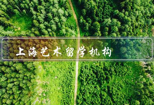 上海艺术留学机构（艺术课程丰富多样／国际化的教学模式）