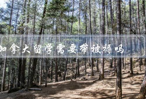 加拿大留学需要带被褥吗（被褥在加拿大留学中的重要性）