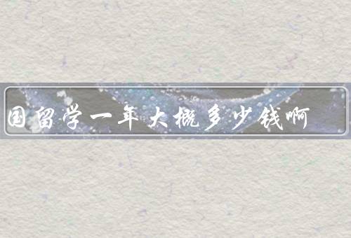 出国留学一年大概多少钱啊，构成／参考范围／节约方法