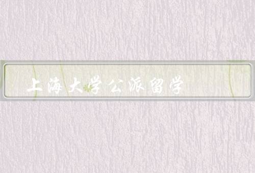 上海大学公派留学，公派留学机会／申请流程／留学经验
