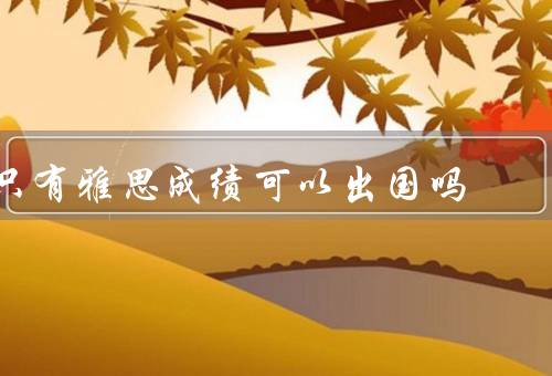 只有雅思成绩可以出国吗，留学申请条件／语言考试／申请条件