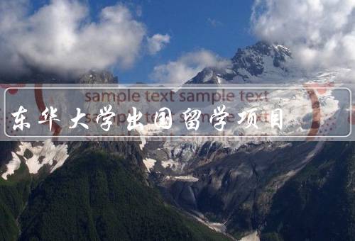 东华大学出国留学项目，背景、特点、效果