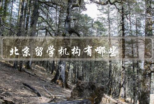 北京留学机构有哪些（留学中心／外国留学生中心）
