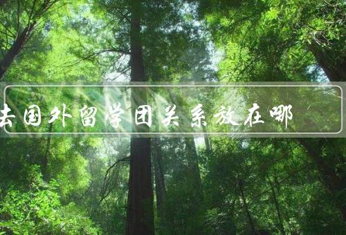 去国外留学团关系放在哪（学习的影响、生活的影响、建立和维护）