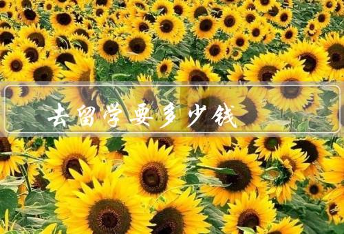 去留学要多少钱