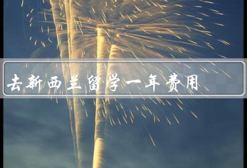 去新西兰留学一年费用（学费、生活费、其他费用）