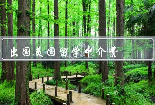 出国美国留学中介费（作用、构成、利与弊）