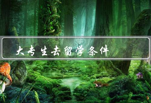 大专生去俄罗斯留学条件（语言要求、学历要求、经济能力）