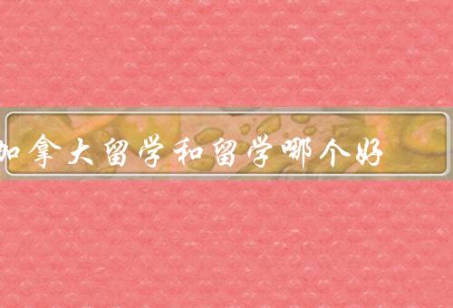 加拿大留学和香港留学哪个好，优势／香港的优势