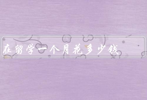 在俄罗斯留学一个月花多少钱（学费、生活费、其他费用）