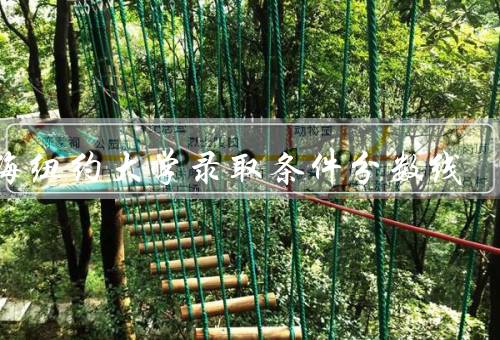 上海纽约大学录取条件分数线（录取条件综述、综合素质评价）