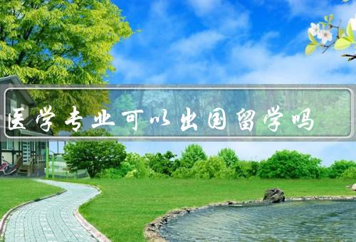 中医学专业可以出国留学吗，特点／国外对认可／发展前景