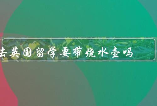 去英国留学要带烧水壶吗（方便性、适应当地生活、宿舍政策）