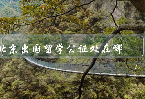 北京出国留学公证处在哪（位置、服务内容、办理流程）