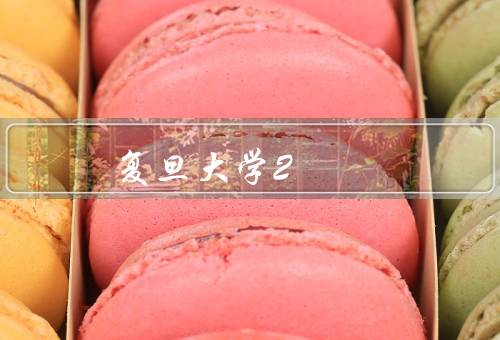 复旦大学2+2留学项目（背景／申请条件／项目优势）