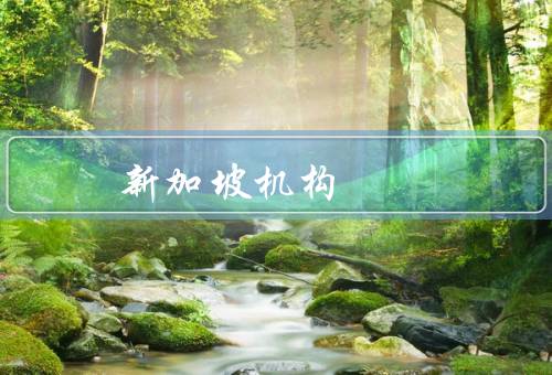 新加坡留学咨询机构，留学申请咨询／签证办理服务／预备课程安排