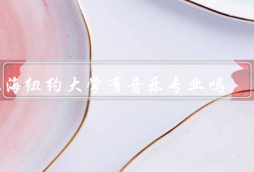 上海纽约大学有音乐专业吗（音乐专业的需求）