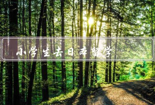 小学生去日本留学（好处、挑战、如何应对挑战）