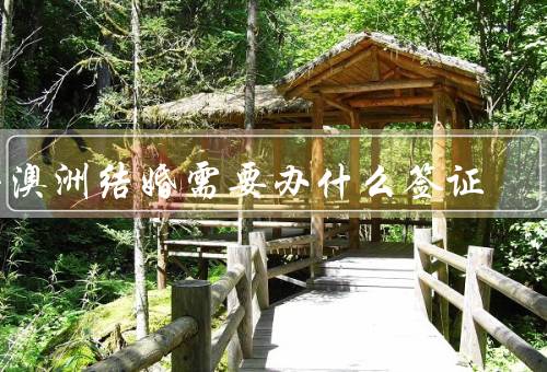 去澳洲结婚需要办什么签证，旅游签证／配偶签证／注册关系签证