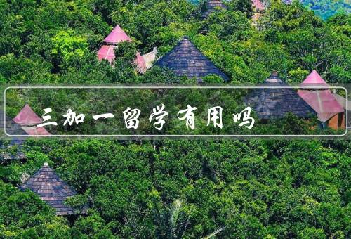 三加一留学有用吗，个人成长、学术研究、职业发展