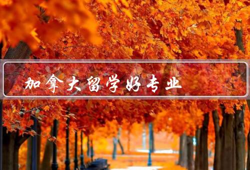 加拿大留学好专业（专业多样性、教育质量、就业机会）