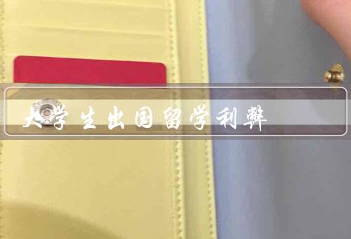 大学生出国留学利弊，拓宽视野、语言能力提升、经济压力和适应困难
