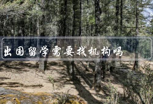 出国留学需要找机构吗，留学机构的作用、自助留学的挑战