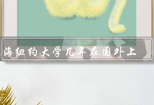 上海纽约大学几年在国外上（留学交换项目、暑期研修项目）