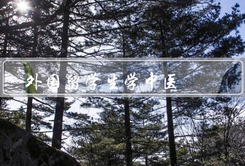 外国留学生学中医，学习动机／学习过程／面临挑战