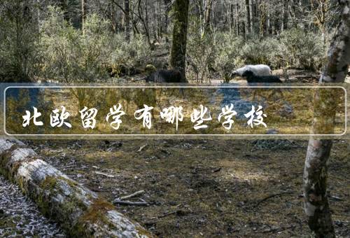 北欧留学有哪些学校（瑞典隆德大学、丹麦哥本哈根大学）