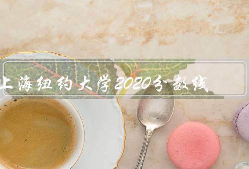 上海纽约大学2020分数线（概述、详解、总结）