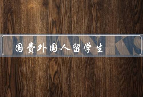 国费外国人留学生，国际化视野／促进中外教育交流