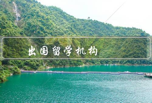 出国留学机构加盟，品牌优势、资源共享、市场竞争力