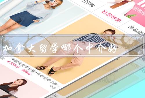 加拿大留学哪个中介好，专家／之友／通