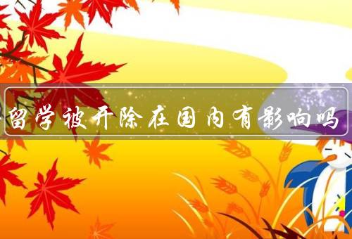 国外留学被开除在国内有影响吗（家庭压力／求职竞争／自我价值感）