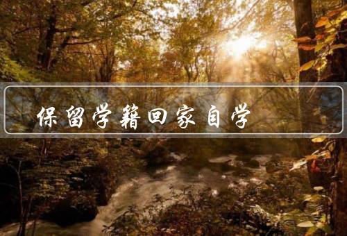 保留学籍回家自学，优势／挑战／有效自学方法